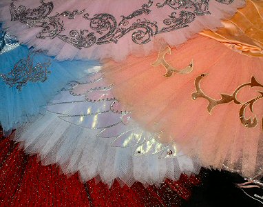 silver embellishment on burgundy tutu