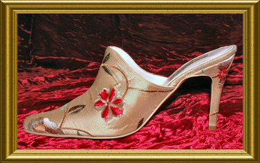 embroidered eighteenth century stye shoe