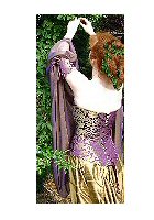 lacing on back of sleeves to match corset