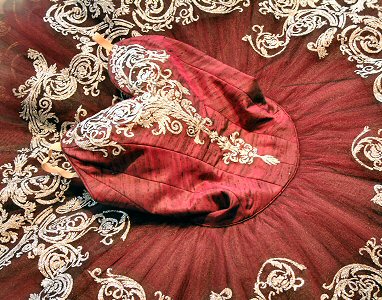 silver embellishment on black tutu