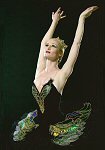 Black Swan, Odile tutu