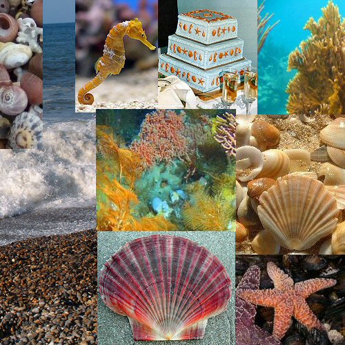 Montage of seahorses, shells, seaside themed wedding source material