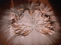 Swan feather appliqu decoration on an 'Odette' tutu for London Festival Ballet; Gold lace decoration and beading on a 'Sugar-Plum Fairy' tutu for London Festival Ballet; elaborate appliqu work for the topskirt of a 'Sugar-Plum Fairy' tutu for Houston Ballet.