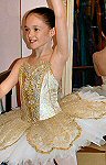 gold brocade and lace competition tutu