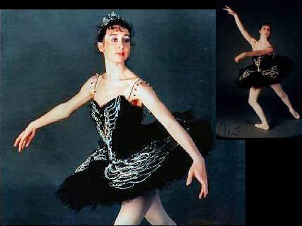 Black swan tutu