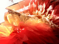 Making a Firebird tutu